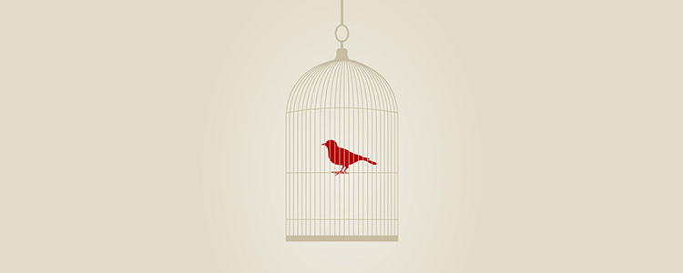 谁能介绍免费呼叫轰炸神器ios